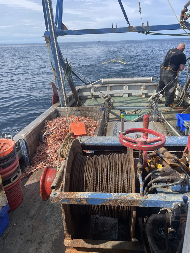 Large picture for advert 143856