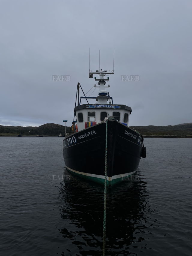 Large picture for advert 143856