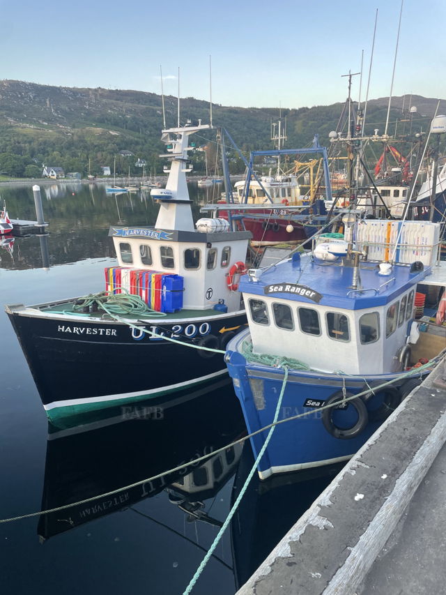 Large picture for advert 143856