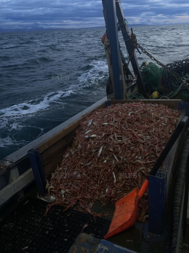 Large picture for advert 143856