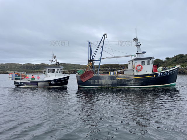 Large picture for advert 143856