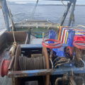 Thumbnail for picture 5