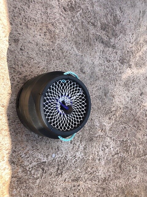 Large picture for advert 120857