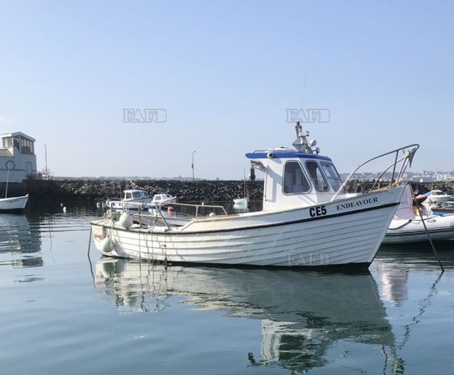Large picture for advert 137858