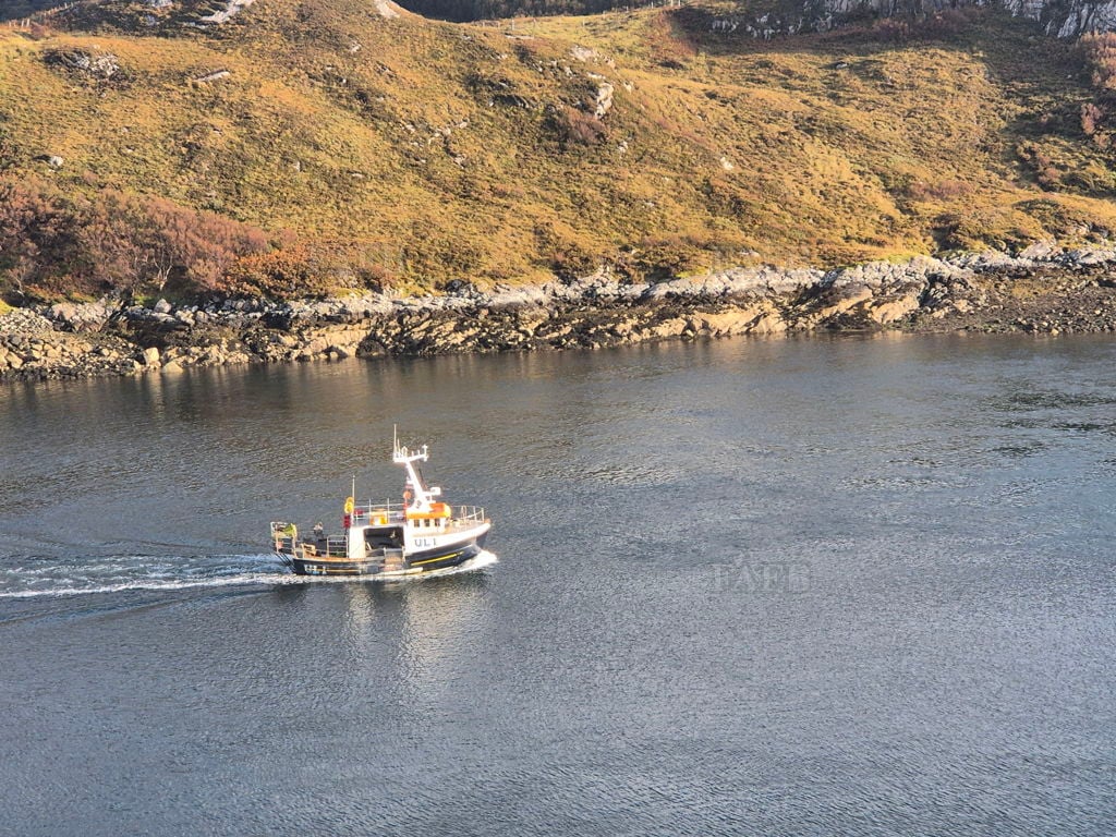 Deckhand