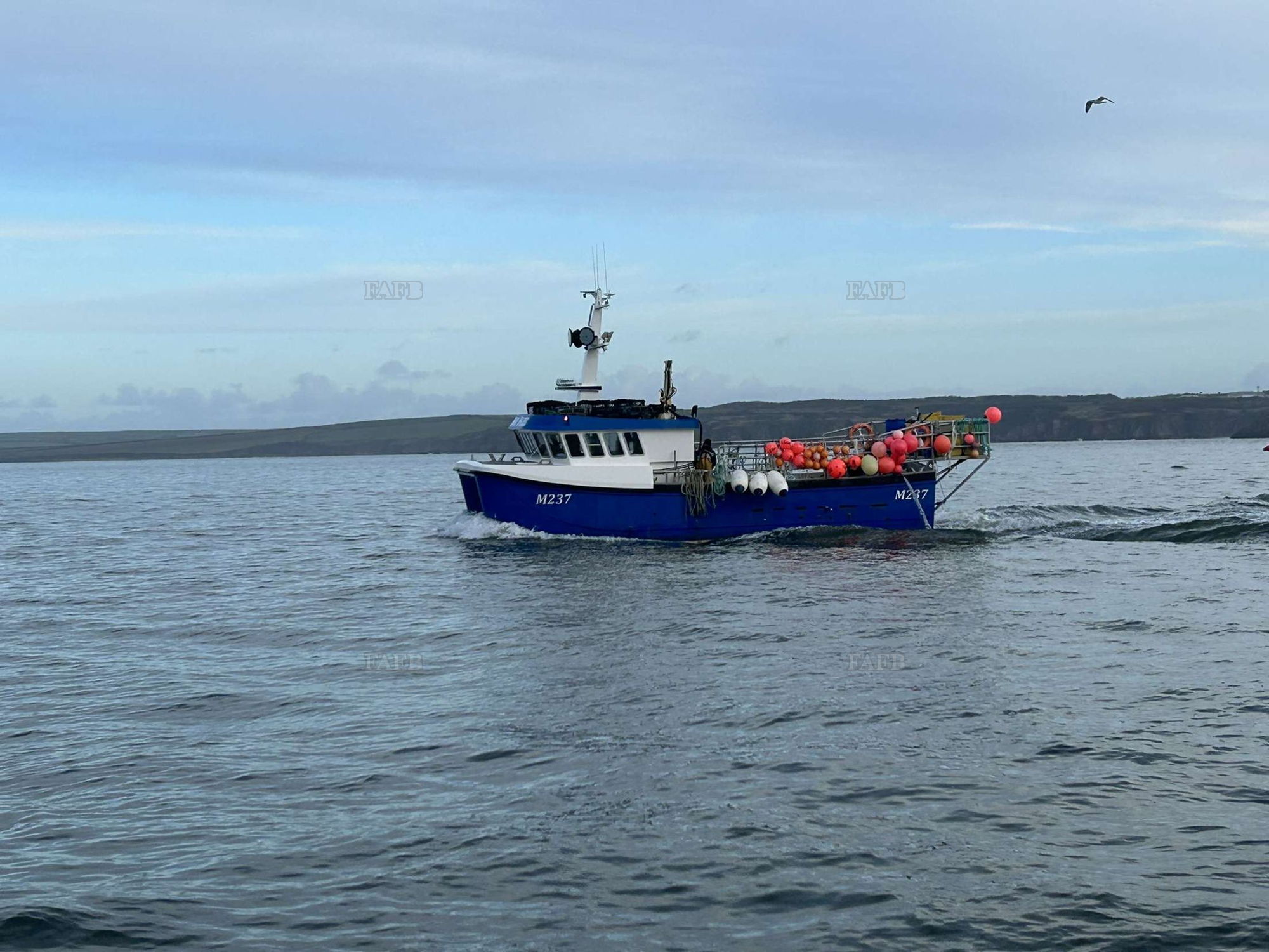 Large picture for advert 134860