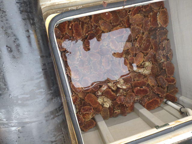 Large picture for advert 134860