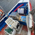 Thumbnail for picture 5