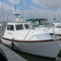Thumbnail for picture 8