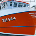 Extra picture for advert 147861