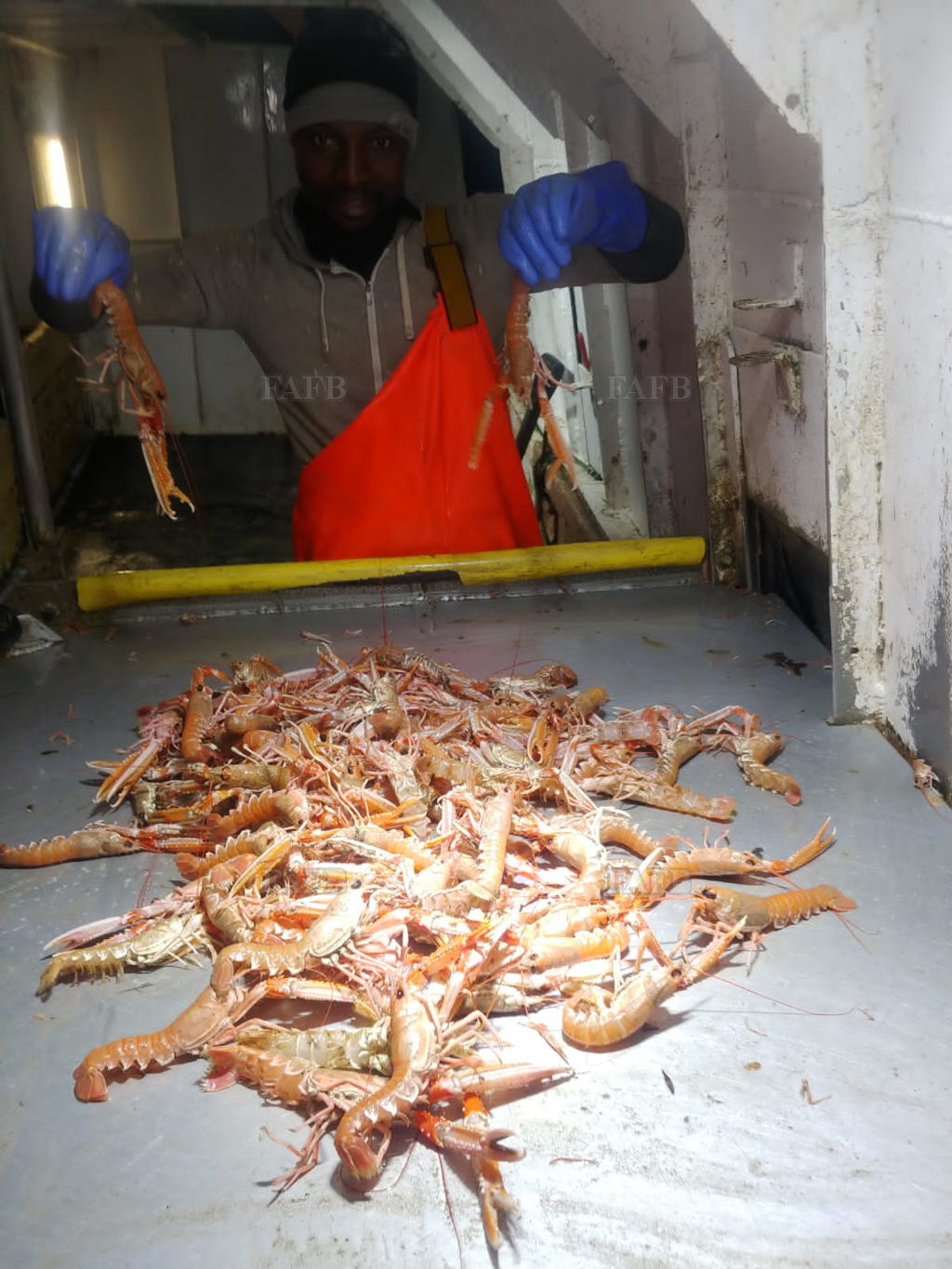 Deckhand