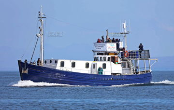 Main picture for advert 148865