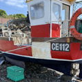Thumbnail for picture 4