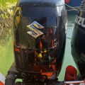 Thumbnail for picture 2