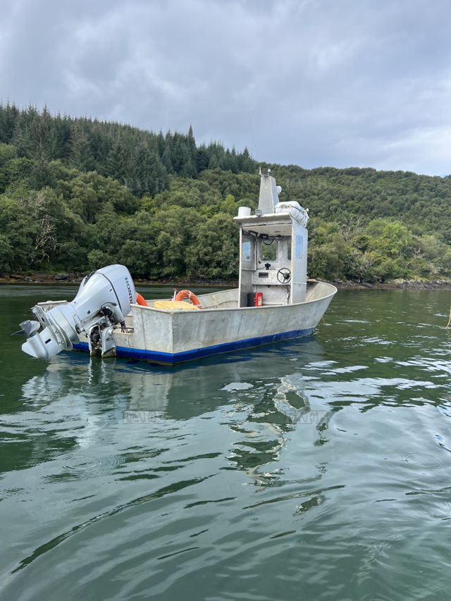 Large picture for advert 137870