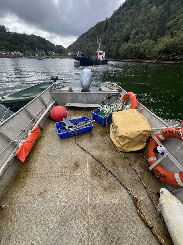 Large picture for advert 137870