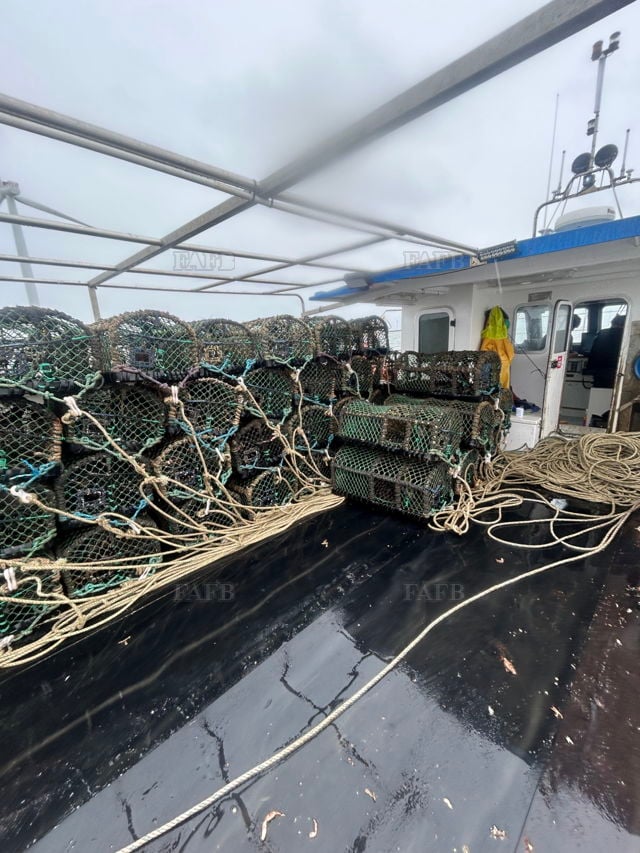 Large picture for advert 139871