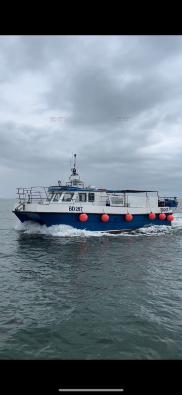 Lady of lundy
