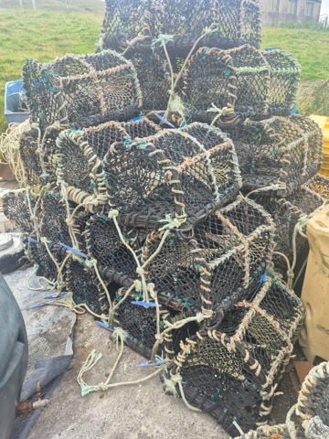 Gale Force Pots