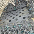 Thumbnail for picture 3