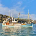 Extra picture for advert 147874