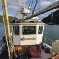 Extra picture for advert 147874