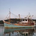 Extra picture for advert 147874