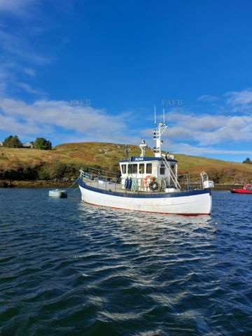 Main picture for advert 148875