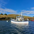 Extra picture for advert 148875