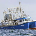 Extra picture for advert 148877