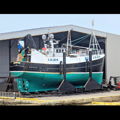Extra picture for advert 148879
