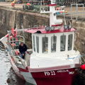 Thumbnail for picture 8