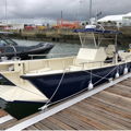 Extra picture for advert 145880