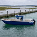 Extra picture for advert 145880