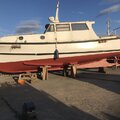 Extra picture for advert 116880