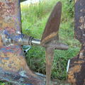 Thumbnail for picture 6