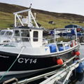 Extra picture for advert 147884
