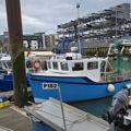 Thumbnail for picture 12