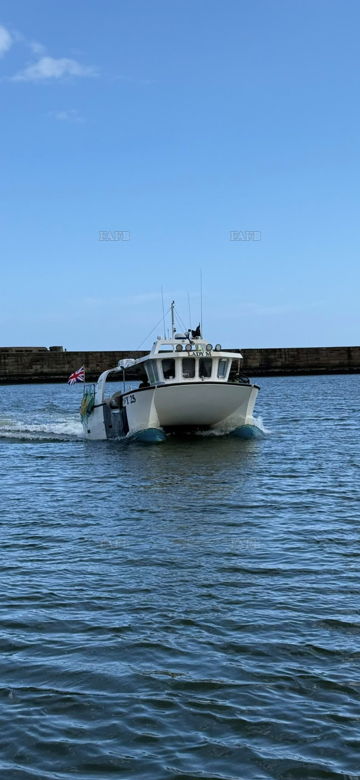 Main picture for advert 148886