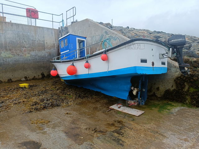 Large picture for advert 143089
