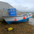 Extra picture for advert 143089