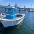 Extra picture for advert 143089