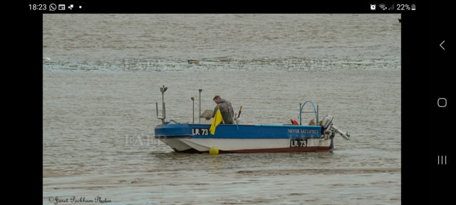 Large picture for advert 141891