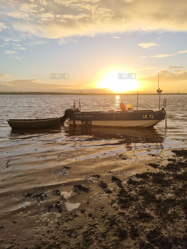 Large picture for advert 141891