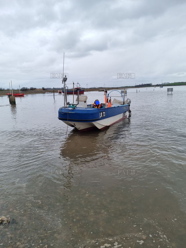 Large picture for advert 141891