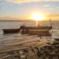 Thumbnail for picture 6