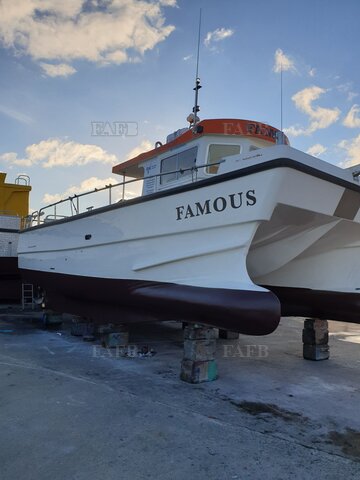 10 metre blyth catamaran - Famous - ID:121894