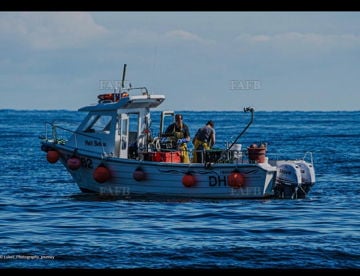 Petit Bateau