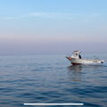 Thumbnail for picture 4