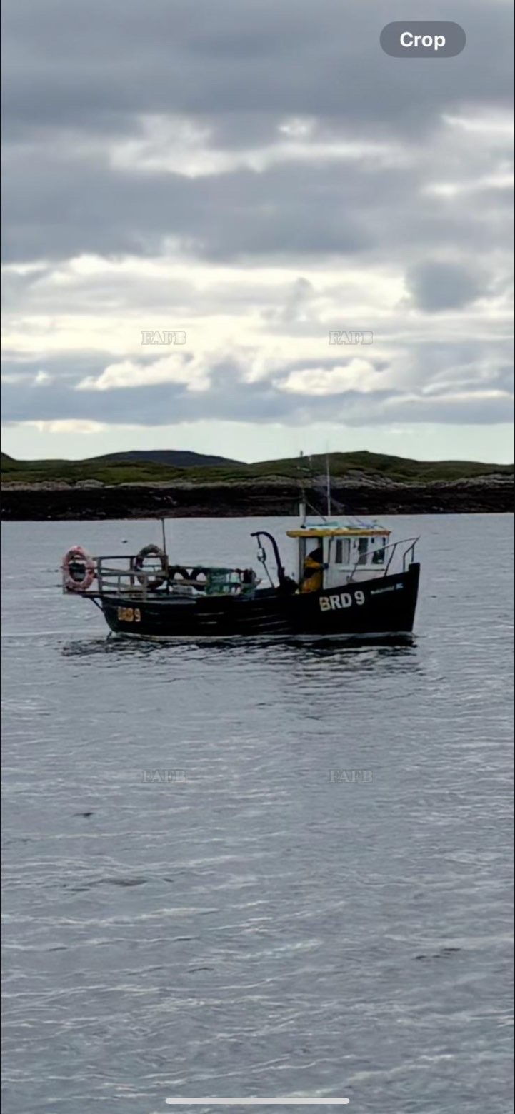 Large picture for advert 147897